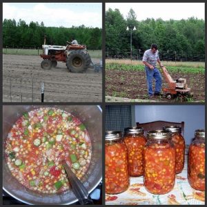 Farm Photography: A Collage of Our Life on a Rural Georgia Farm Part 2 Image